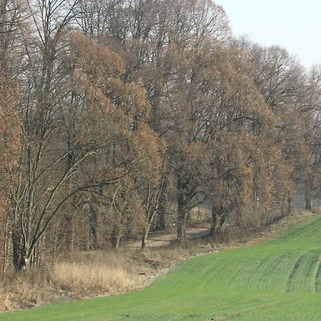 Bed and breakfast Zielone Okiennice