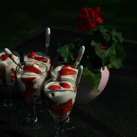 Zielone Okiennice Bed and breakfast