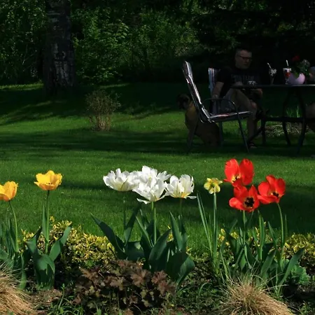 Zielone Okiennice Bed and breakfast Miłki