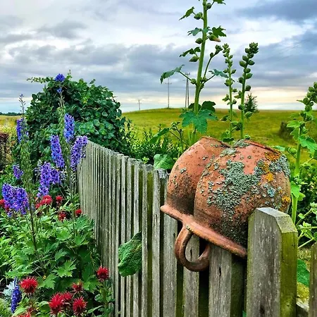 Bed and breakfast Zielone Okiennice